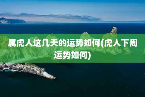 属虎人这几天的运势如何(虎人下周运势如何)