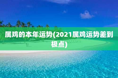 属鸡的本年运势(2021属鸡运势差到极点)