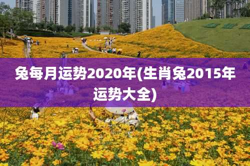 兔每月运势2020年(生肖兔2015年运势大全)
