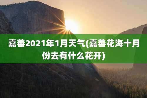 嘉善2021年1月天气(嘉善花海十月份去有什么花开)