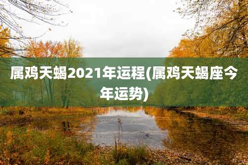 属鸡天蝎2021年运程(属鸡天蝎座今年运势)