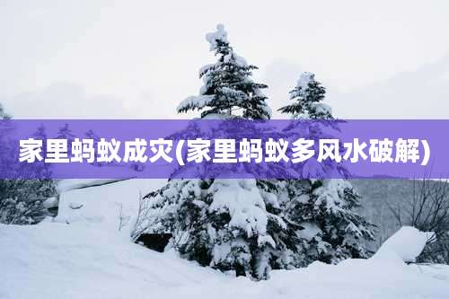 家里蚂蚁成灾(家里蚂蚁多风水破解)