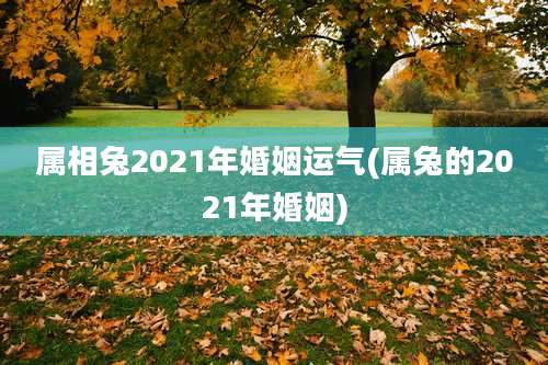 属相兔2021年婚姻运气(属兔的2021年婚姻)