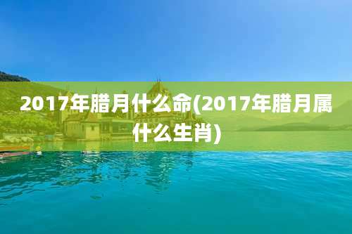 2017年腊月什么命(2017年腊月属什么生肖)