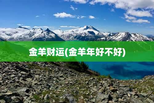 金羊财运(金羊年好不好)