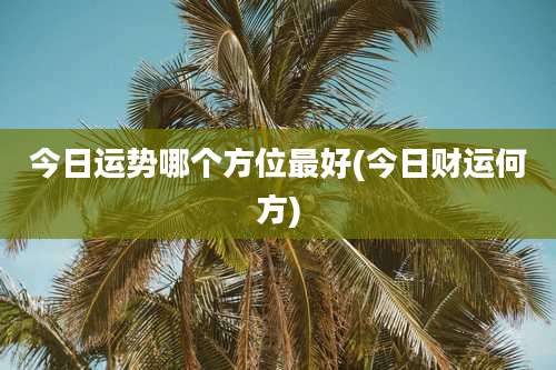 今日运势哪个方位最好(今日财运何方)