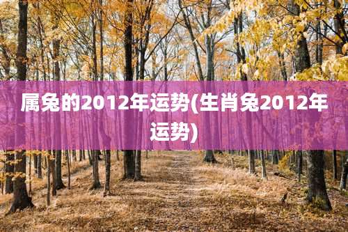 属兔的2012年运势(生肖兔2012年运势)