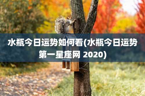 水瓶今日运势如何看(水瓶今日运势第一星座网 2020)