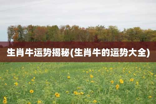 生肖牛运势揭秘(生肖牛的运势大全)