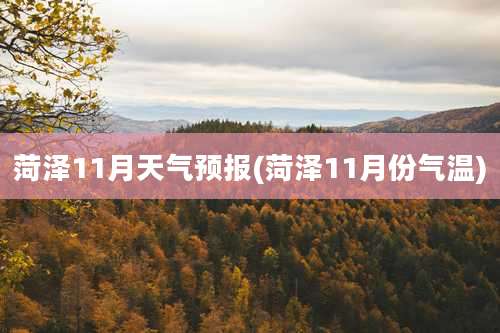 菏泽11月天气预报(菏泽11月份气温)