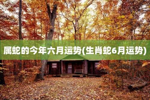 属蛇的今年六月运势(生肖蛇6月运势)