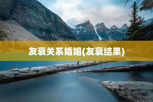 友衰关系婚姻(友衰结果)