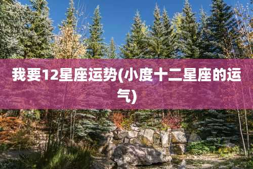 我要12星座运势(小度十二星座的运气)