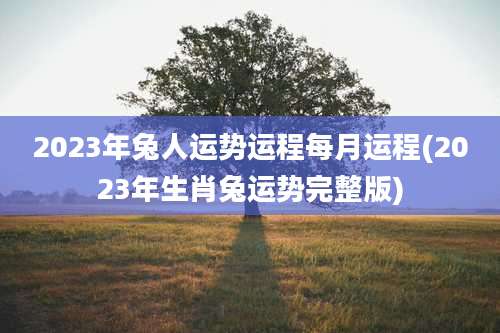 2023年兔人运势运程每月运程(2023年生肖兔运势完整版)