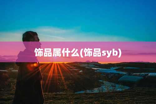 饰品属什么(饰品syb)
