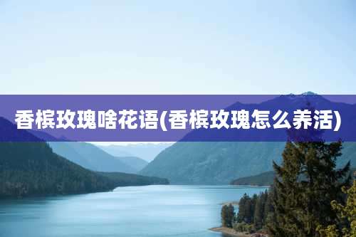 香槟玫瑰啥花语(香槟玫瑰怎么养活)