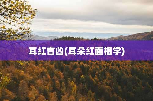 耳红吉凶(耳朵红面相学)