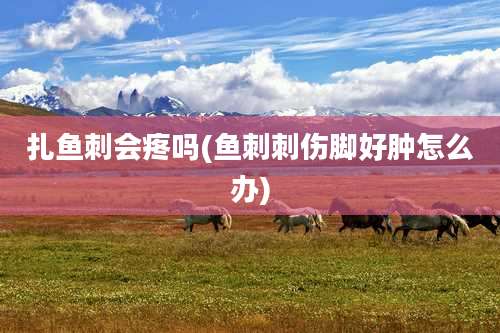 扎鱼刺会疼吗(鱼刺刺伤脚好肿怎么办)