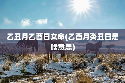 乙丑月乙酉日女命(乙酉月癸丑日是啥意思)