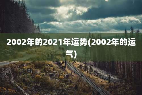 2002年的2021年运势(2002年的运气)