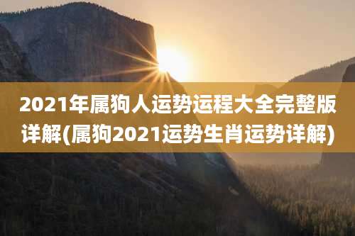 2021年属狗人运势运程大全完整版详解(属狗2021运势生肖运势详解)