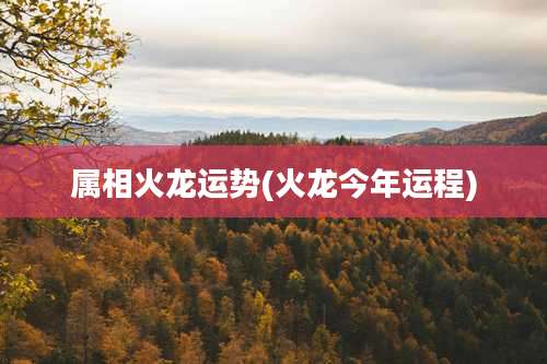 属相火龙运势(火龙今年运程)