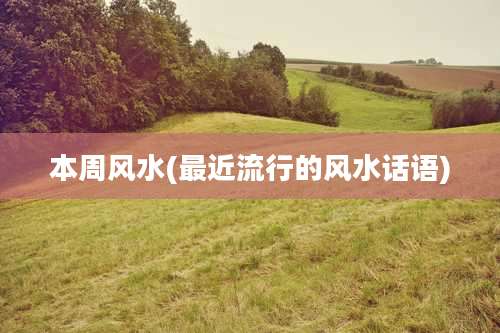 本周风水(最近流行的风水话语)