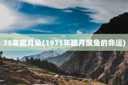 75年腊月兔(1975年腊月属兔的命运)