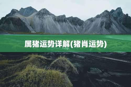 属猪运势详解(猪肖运势)