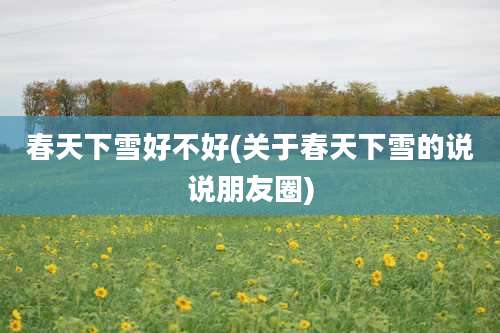 春天下雪好不好(关于春天下雪的说说朋友圈)