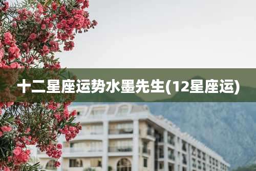 十二星座运势水墨先生(12星座运)