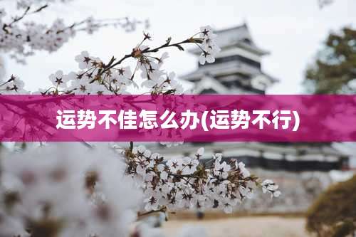 运势不佳怎么办(运势不行)