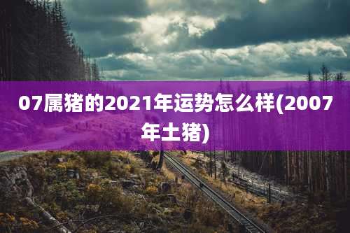 07属猪的2021年运势怎么样(2007年土猪)