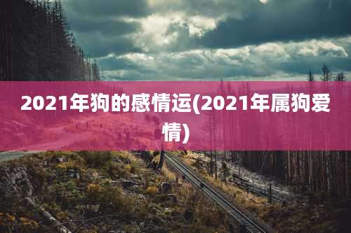 2021年狗的感情运(2021年属狗爱情)