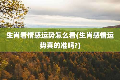 生肖看情感运势怎么看(生肖感情运势真的准吗?)