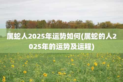 属蛇人2025年运势如何(属蛇的人2025年的运势及运程)