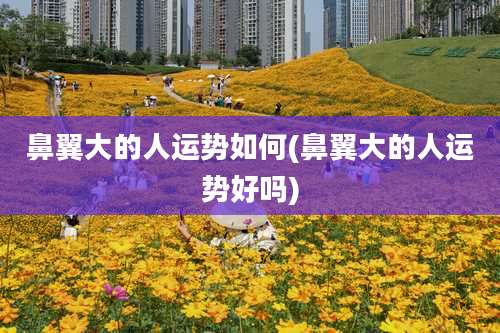 鼻翼大的人运势如何(鼻翼大的人运势好吗)