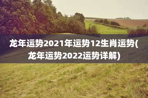 龙年运势2021年运势12生肖运势(龙年运势2022运势详解)