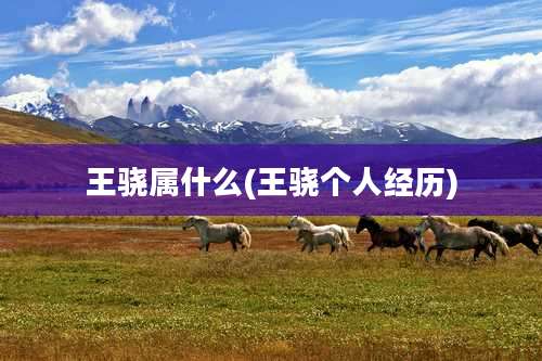 王骁属什么(王骁个人经历)