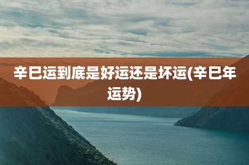 辛巳运到底是好运还是坏运(辛巳年运势)