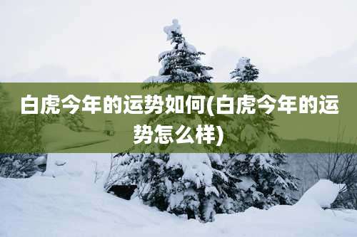 白虎今年的运势如何(白虎今年的运势怎么样)