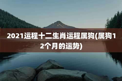 2021运程十二生肖运程属狗(属狗12个月的运势)