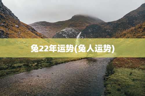 兔22年运势(兔人运势)