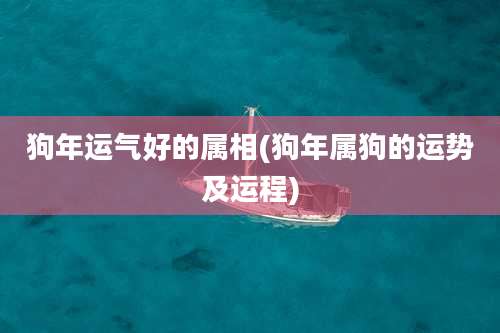 狗年运气好的属相(狗年属狗的运势及运程)