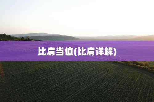 比肩当值(比肩详解)
