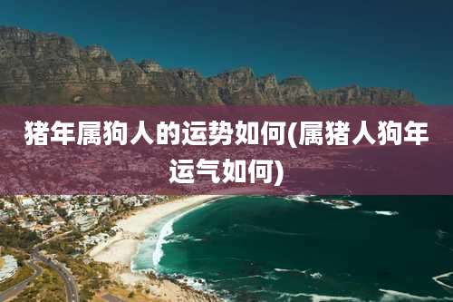 猪年属狗人的运势如何(属猪人狗年运气如何)