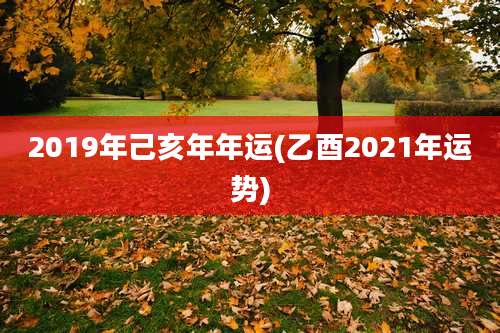 2019年己亥年年运(乙酉2021年运势)