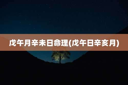 戊午月辛未日命理(戊午日辛亥月)