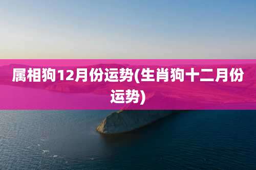 属相狗12月份运势(生肖狗十二月份运势)