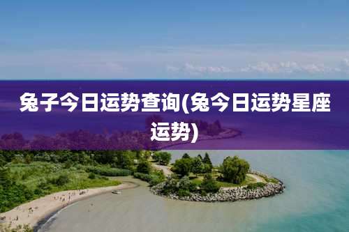 兔子今日运势查询(兔今日运势星座运势)